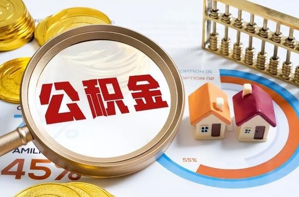 乐平离职了园区公积金一次性代提出（苏州园区住房公积金离职提取）